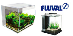  Fluval
