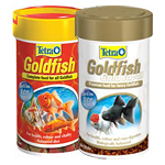  Tetra Gold Fish
