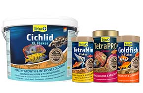 ���� ��� ��� Tetra