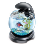 Аквариум Tetra Cascade Globe для петушка и золотой рыбки черный 6,8 литров