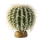      ExoTerra Barrel Cactus small (Hagen  2980) 