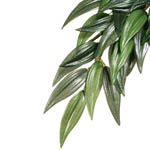    ExoTerra Rucus (large) (Hagen  3051)