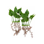 Пластиковое растение Marina Aquascaper Anubias rootsc.15см