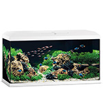 �������� Juwel PRIMO 110 LED 2.0 �����