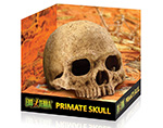 Декорация череп примата Exo Terra Primate Skull